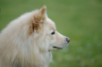 DSC_0613.jpg