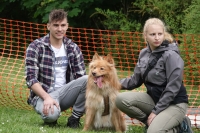 -Dateieigenschaften-Erstellungsdatum Lapphundetreffen Philippsthal 2022 (449).JPG
