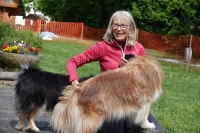 -Dateieigenschaften-Erstellungsdatum Lapphundetreffen Philippsthal 2022 (58).JPG