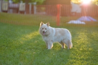 DSC_0311.JPG