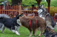 DSC_0415.JPG